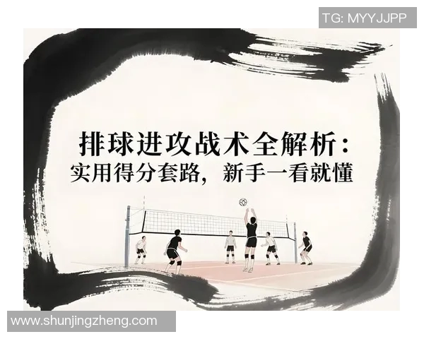 杭州排球队进攻策略全解析揭秘排球深度与战术运用