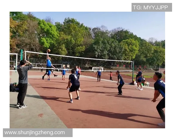 赵伟独家分享排球心得与技巧助你提升竞技水平与团队协作能力 赵伟独家分享排球心得与技巧助你提升竞技水平与团队协作能力